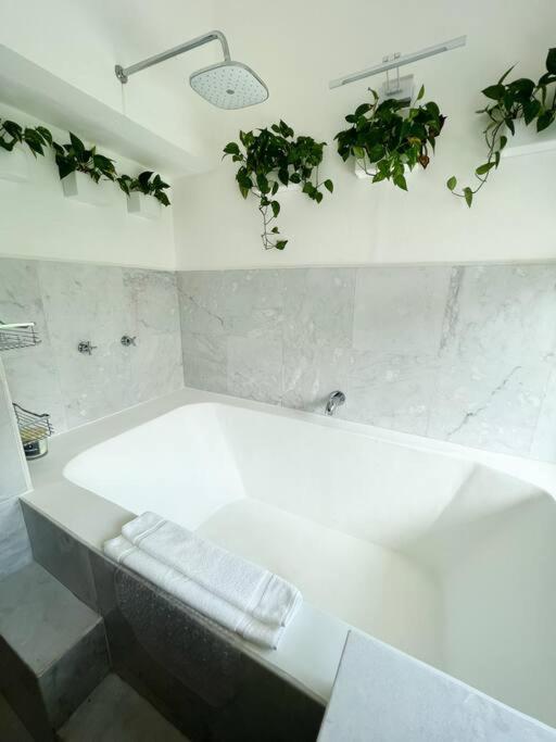 Willa Beautiful Jungle House On A Strategic Location Cancún Zewnętrze zdjęcie